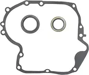 For 697110 & 795387 Crankcase Gasket & Oil Seal Combo Set