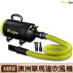 現貨當天出 澳洲BIGBOI MINI 寵物單馬達吹風機 吹水機 寵物美容 毛髮風乾 汽機車用 汽車美容 吹乾機