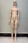 1/3 BJD Doll SD Gluino Vampire Normal Skin- Free Face Make UP+Free Eyes+ DHL