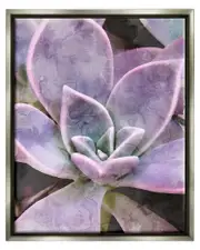 Purple Succulent Close Up Framed Floater Canvas Wall Art by Daphne Polselli