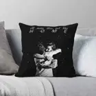 Larry Stylinson Hug Pillowcase Polyester Zip Pillow Case Seater Cushion Cover