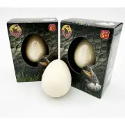 Jack In The Box - Growing Pet Crocodile Egg X 1 Only from Tates Toyworld