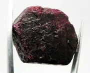 245.7 Cts Natural Enhanced Red Ruby Rough Loose Gemstone Z - 147