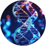 DNA Genetic Helix Acrylic Fridge Magnets Round Magnetic Refrigerator Sticker Funny Cute Refrigerator Decorative Magnets for Fridge Office Whiteboard Kitchen Cabinets Locker