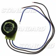 Parking Light Bulb Socket-Sedan Federated S-584