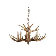 Hyort Kd Version Designer Pendant Light 6lt