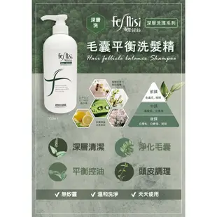 原裝公司貨 羅凡迪詩 ROVENDIS 控油.護色.氨基酸 洗髮精1000ml 胺基酸,絲蛋白 護髮素1000ml 優惠