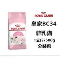 在飛比找蝦皮購物優惠-皇家 bc34 離乳貓 幼貓飼料 專用飼料【jojo小舖】