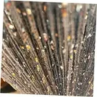 2 Pack 39 x 79 Inch String Curtains for Doorways Room Divider Curtains Silver