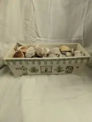 Large Rectangle Box with Sea Shells Decoration