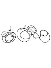 Beacon Lighting Lucci Connect Gecko 6 Light 10m 5 Pin Wiring Kit