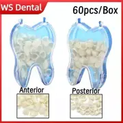 Dental Resin Realistic Porcelain Temporary Teeth Crown Anterior/Posterior Veneer