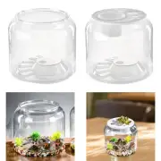Turtle Container Reptile Habitat Table Decorative DIY Micro Landscape Step
