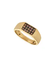 Le Vian 14K 0.41 ct. tw. Diamond Natural Colored Ring
