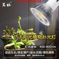 在飛比找樂天市場購物網優惠-植物燈全光譜仿太陽光自然光LED植物生長補光燈泡多肉花卉育苗