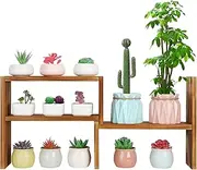 OcBuct 5 Tiered Small Window Plant Shelf,Wooden Desktop Plant Stand Indoor ,Table Top Plants Shelves,Window Sill Shelf for Plants Lovers,Succulent, Countertop Plant Rack Holder
