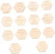 Abaodam 14Pcs Monthly Newborn Photography Props Commemorate Milestone Moments Durable Photo Supplies for Boys