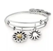 Alex & Ani You Are My Heart Set Of 2