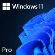 Windows 11 Pro DVD - OEM