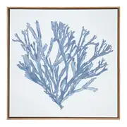 Framed Canvas/Resin 50x50cm Navy Coral Wall Hanging Art Decorative Home Display