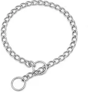 Stainless Steel Chain Dog Collar, Metal Slip P-Link Training Heavy Duty Dog Collar Puppy Collars for XXS XS Small Medium Large Dogs, Silver XXS