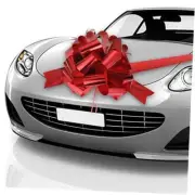 Big Car Bow Giant Car Gift Wrapping Pull Bow with 20 ft Ribbon for Gift New