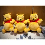 全新現貨 WINNIE THE POOH 小熊維尼 DISNEY 有趣姿勢系列 玩偶 公仔 絨毛玩具 日本限定