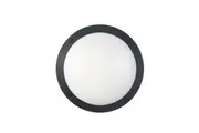 LED Bulkhead Round Black 4000K IP66 IK10