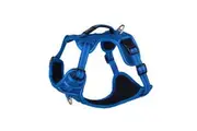 Specialty Explore Dog Harness (Blue) - Medium