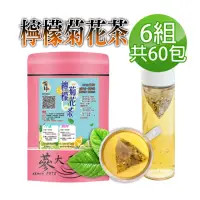 在飛比找momo購物網優惠-【蔘大王】台灣檸檬菊花茶包X6組（6gX10入/組）長效期版