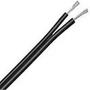 Coleman Cable 600006608 Lamp Cord- Black