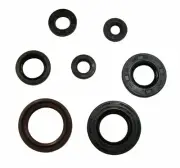 Engine Oil Seal Kit for Yamaha Blaster 200 fits 1988-2006 YFS200 Models