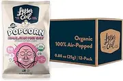 LesserEvil Himalayan Pink Salt Organic Popcorn, Premium Quality, Minimally Processed, No Vegetable Oil, 0.46 Oz, Pack of 24