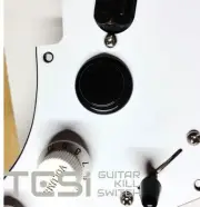 Tesi DITO Snap-in 24MM Guitar Momentary Arcade Push Button Kill Switch Black