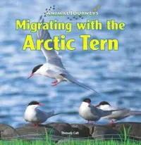 在飛比找博客來優惠-Migrating with the Arctic Tern