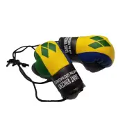 Mini Boxing Gloves Olympics Soccer Car Mirror Hanging Décor ST. Vincent