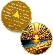 Recovery Sunrise Sobriety Coin - Addiction Reborn from Dark NA AA Coins - Serenity Prayer AA Chips and Medallions - NA HA AA Living Clean Narcotics Alcoholics Anonymous Gifts for Men Women