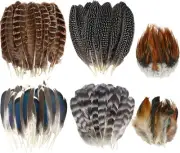 60pcs Natural Turkey Feathers, Pheasant Spotted Duck...