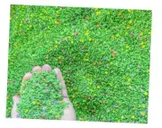Flower Rice Sensory Bin Filler for Sensory Table - Colored Rice for Sensory