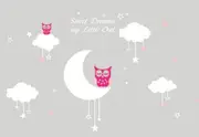 White Clouds & Moon with Pink Owls AW2779