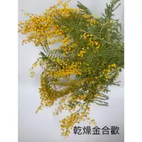 在飛比找蝦皮購物優惠-“Be a florist 花藝夢” 進口 乾燥金合歡 乾燥