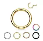 G23 Titanium 16g 12mm Seamless Segment Rings Hoop Nose Earring Labret Septum
