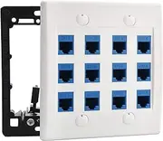 DIYTECH Ethernet Wall Plate - 12 Port RJ45 Cat6 Ethernet Wall Outlet, Female to Female Cat6 Wall Jack Keystone, Ethernet Plug in Wall Outlet, for Network Outlet Setup - White