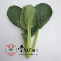在飛比找Yahoo!奇摩拍賣優惠-【野菜部屋~】E33 青松味美菜種子2.4公克 , 生長快速