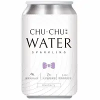 在飛比找momo購物網優惠-【CHUCHU 啾啾】CHUCHU啾啾藍莓氣泡水 330ml