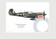 Warhead Illustrated P-40M Kittyhawk 86 Sqn RAAF MP-B Aircraft Print