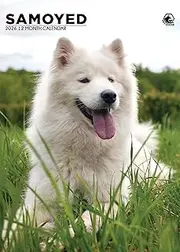 Samoyed Calendar 2026 – Embrace the Fluff and Joy of the Smile Dogs