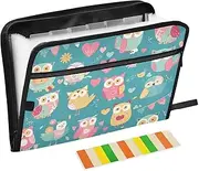 Colorful Lovely Cute Valentine's Day Owl Expandable File Folder 13 Pockets A4 Letter Size Folder with Pocket with Zipper Closure File Storage Organizer for Document Storage