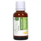 Cloud Bud Pure Cucumber Oil Cucumis Sativus Cold Pressed For Hair Growth