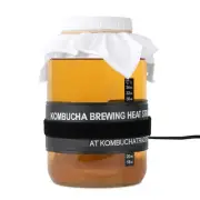 Kombucha Starter Kit (Deluxe with Heating Mat) SCOBY, Jar, PH Test Strips, Fe...